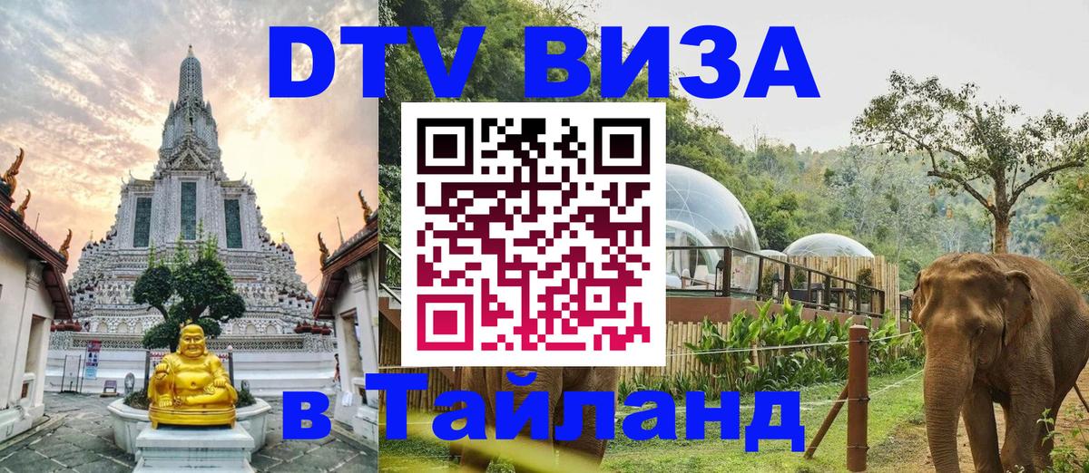 Оформление DTV визы под ключ: стоимость и тарифы, только загранпаспорт - 04.10.2025 
